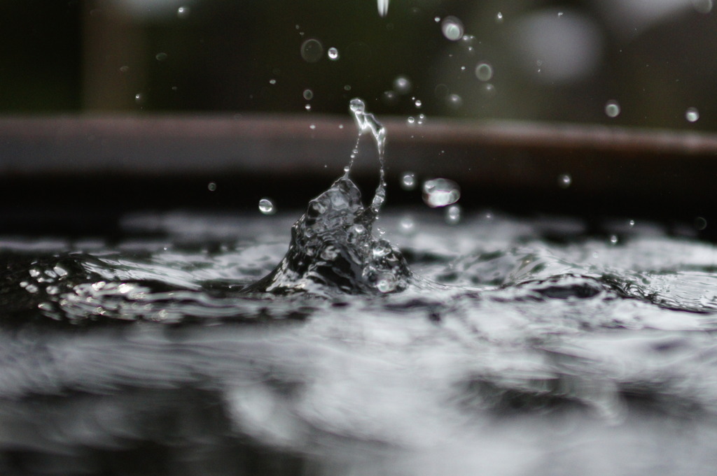リーゼント男が出てきた・・