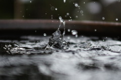 リーゼント男が出てきた・・