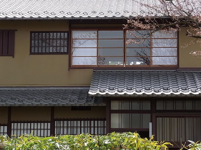 RIMG9598