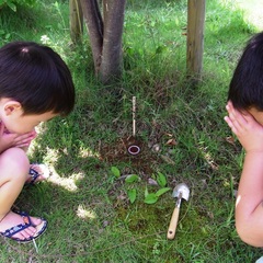 かぶと虫死んじゃった