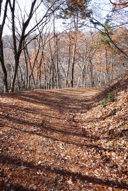 木枯らしが吹く前に