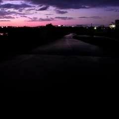 雨上がりの堤防