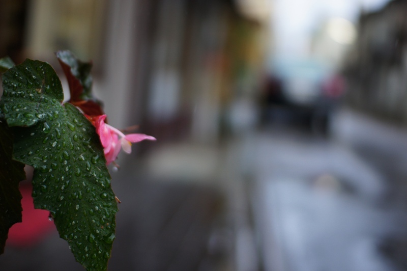 ☂あがり