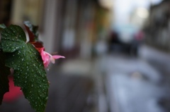 ☂あがり