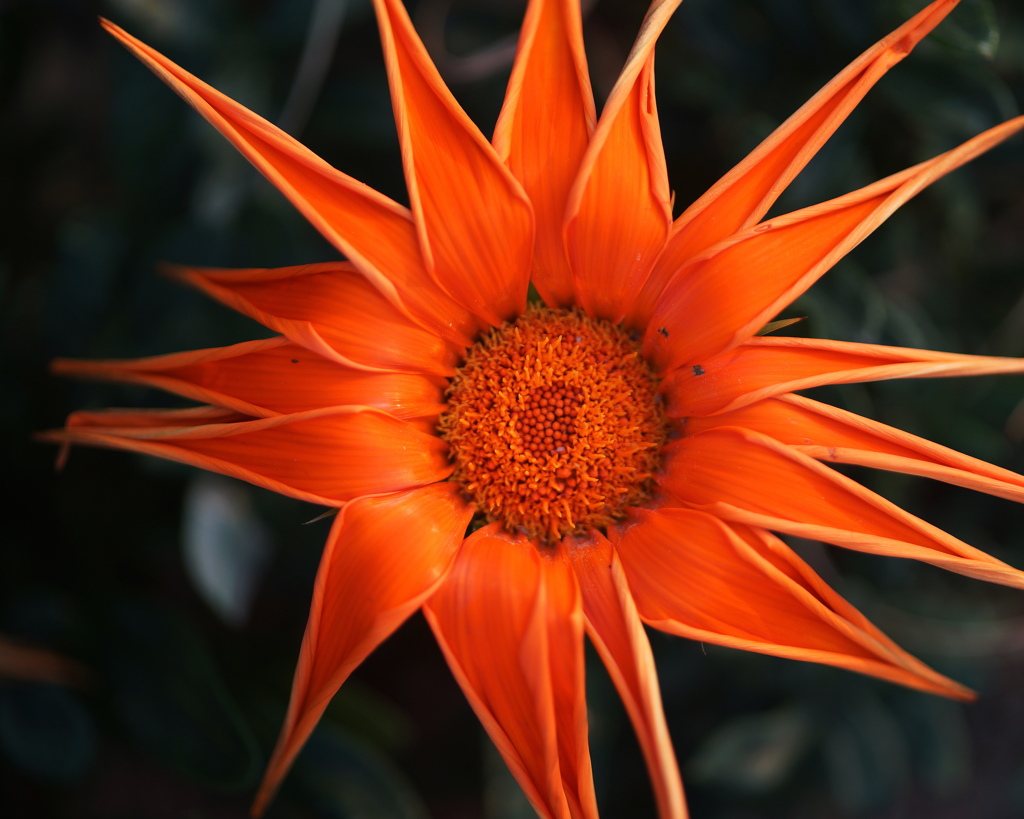 夕陽を見送る太陽