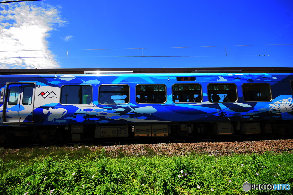 夏列車