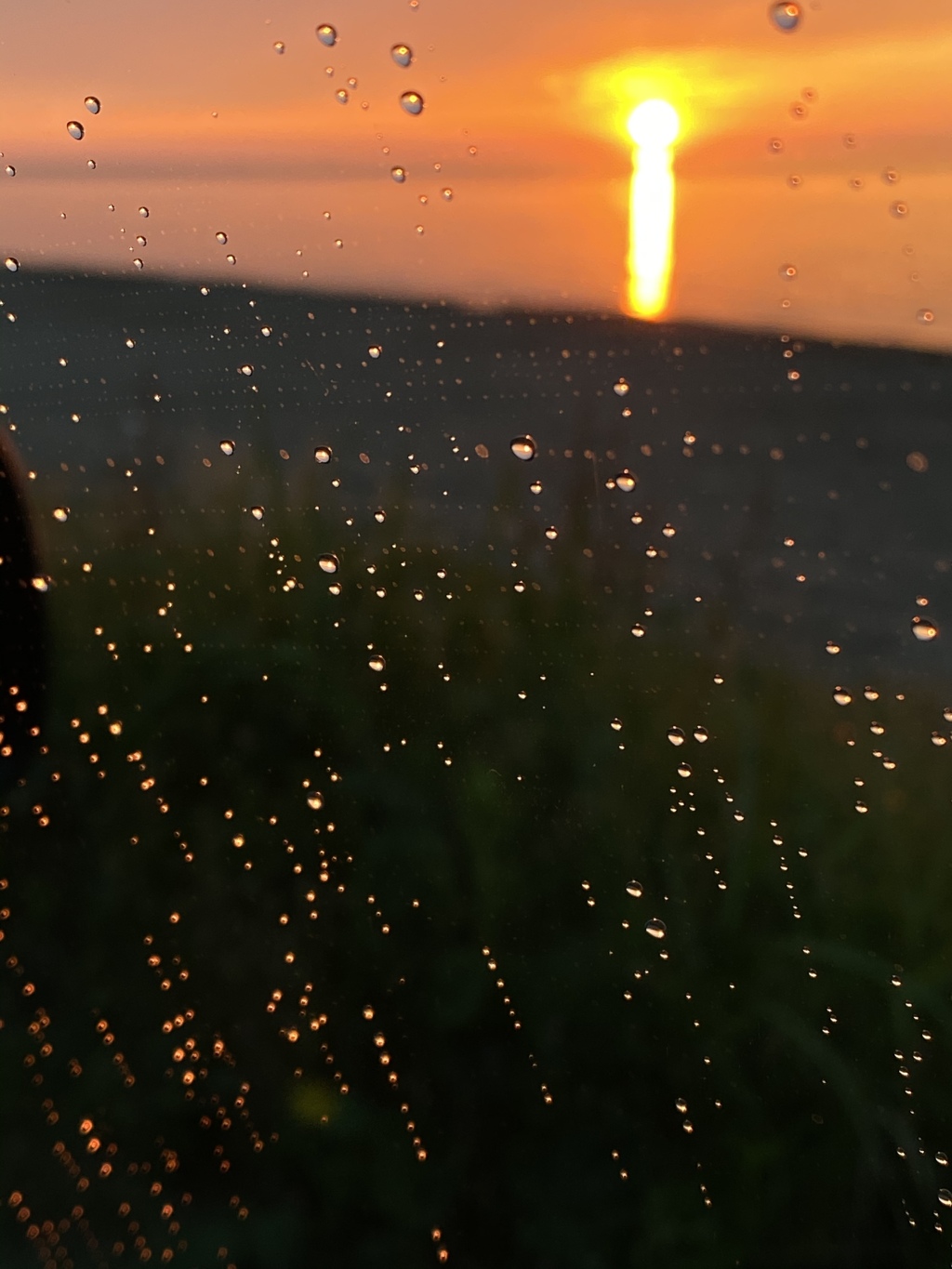 雨の夕陽