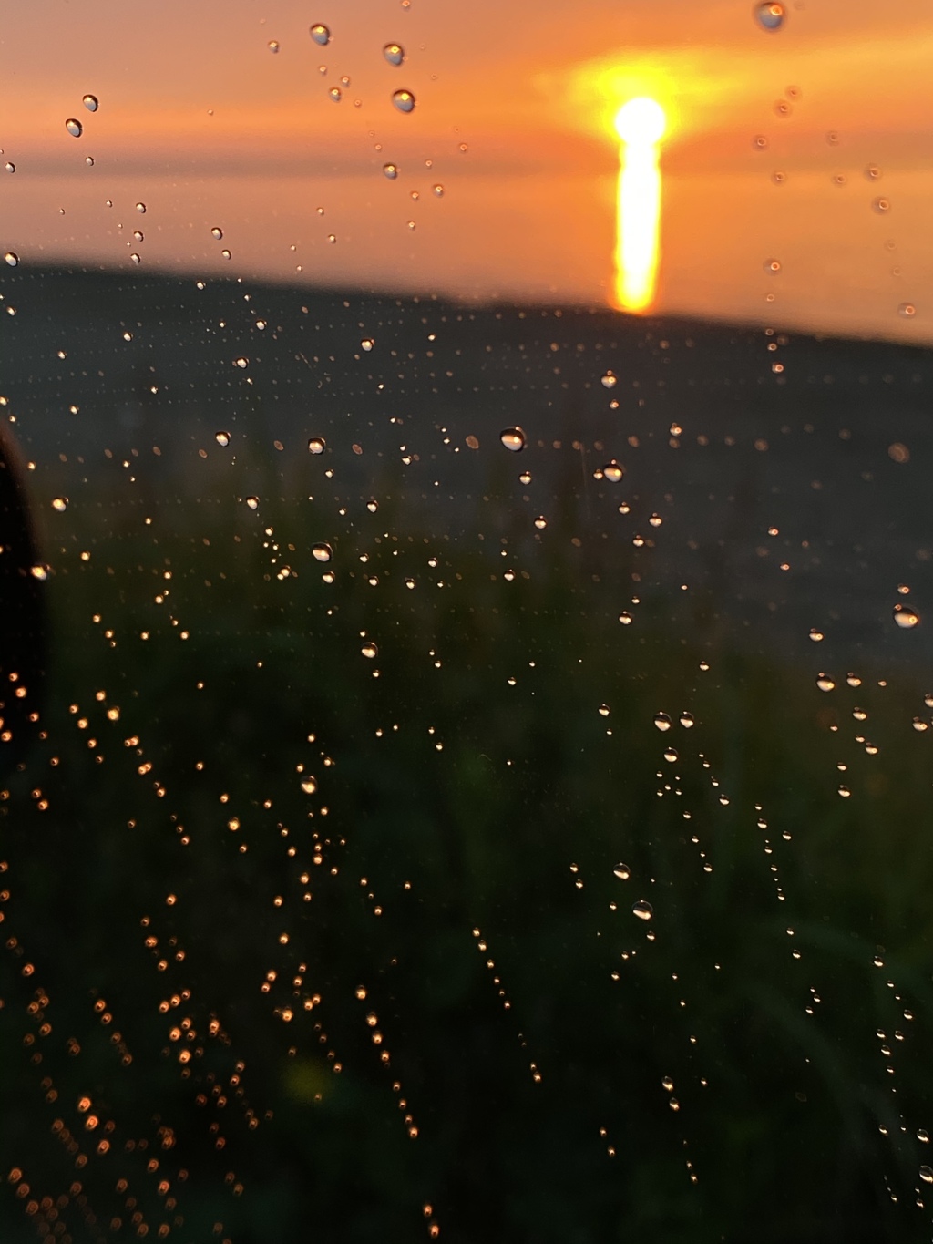 雨の夕陽