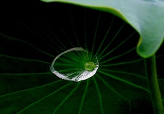 雨