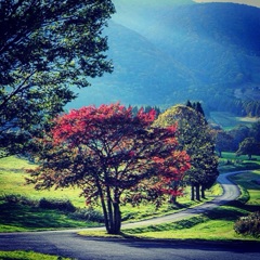 image インスタ18