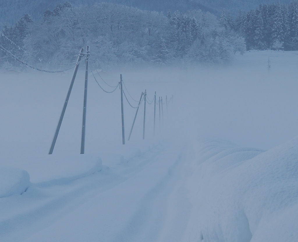 朝霧の底に向かう道