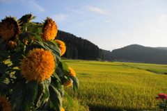 季節は進む