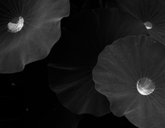 空を受け止めて