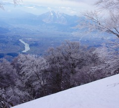山桜の森と千曲川