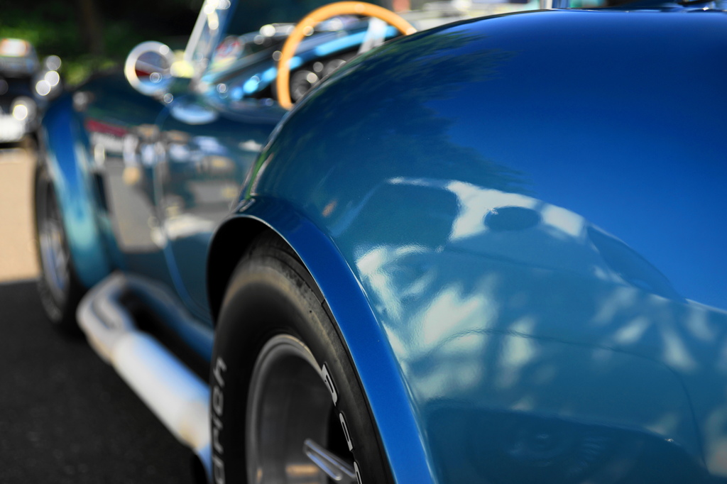 cobra