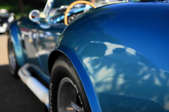 cobra