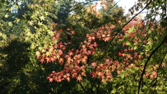 DSC00103