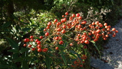 DSC00099