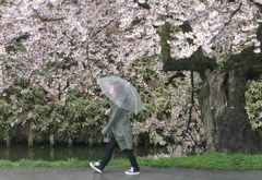 雨に降られて