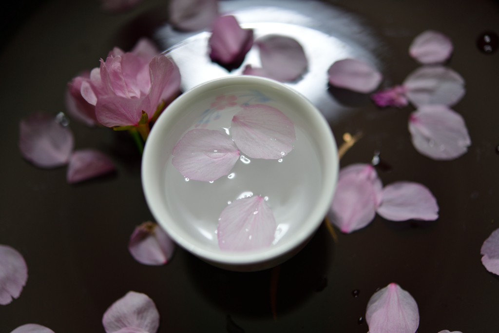 花見酒