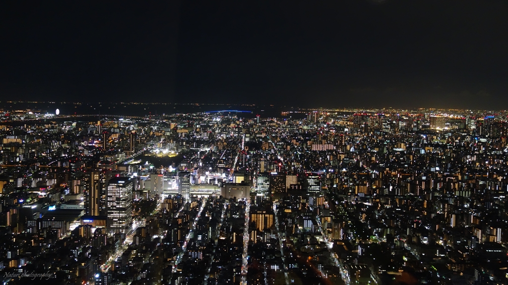 スカイツリーからの夜景