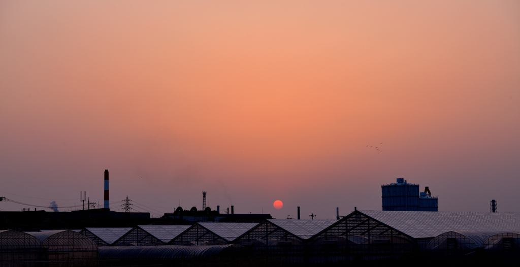 夕景