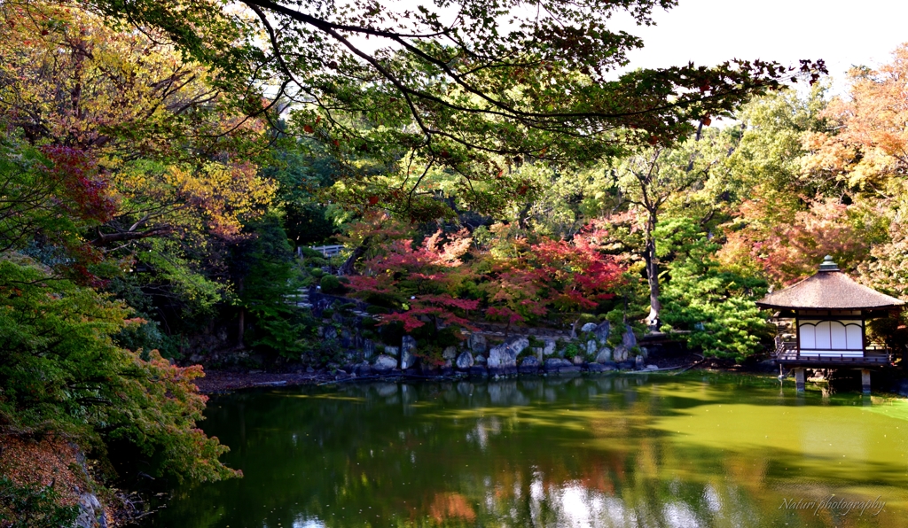 紅葉渓庭園