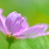 夢で待ってるよ
