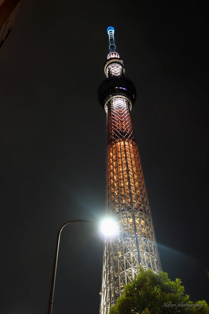 スカイツリー
