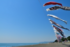七里御浜鯉のぼり
