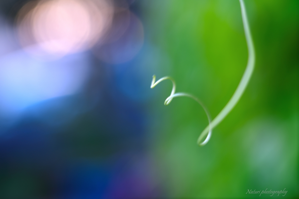 Spiral