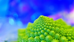 Romanesco's dream