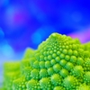 Romanesco's dream