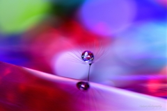 crystal