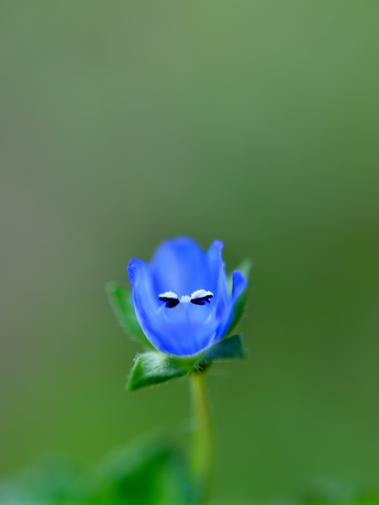 あっ! 見つかった(>◡<) 