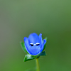 あっ! 見つかった(>◡<) 