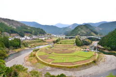 あらぎ島　棚田