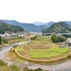 あらぎ島　棚田