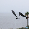 海まで飛べる？