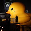 お風呂の友