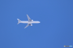 空を泳ぐ