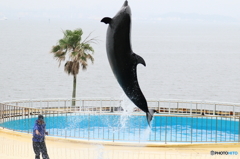 ハアッ！！
