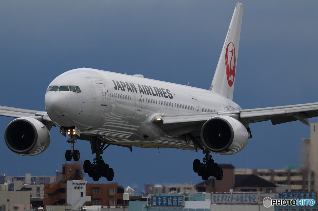 JAL　BODY　LINE