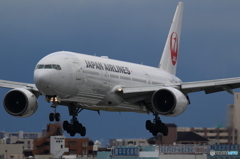 JAL　BODY　LINE