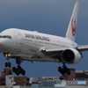 JAL　BODY　LINE