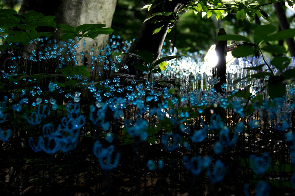 こころの花 (2)