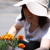綺麗に咲いてね