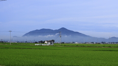 朝靄から弥彦山