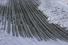 雪解け