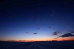 Snow Venus